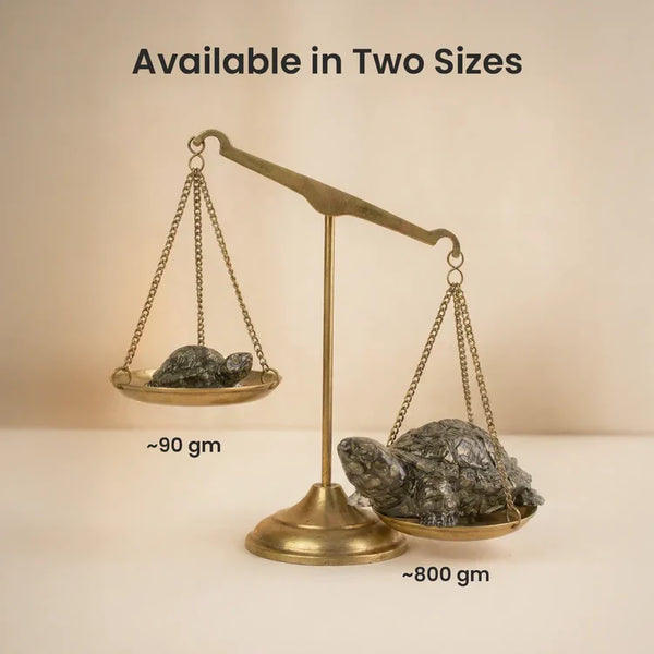 Vastu Pyrite Tortoise with FREE Selenite Plate
