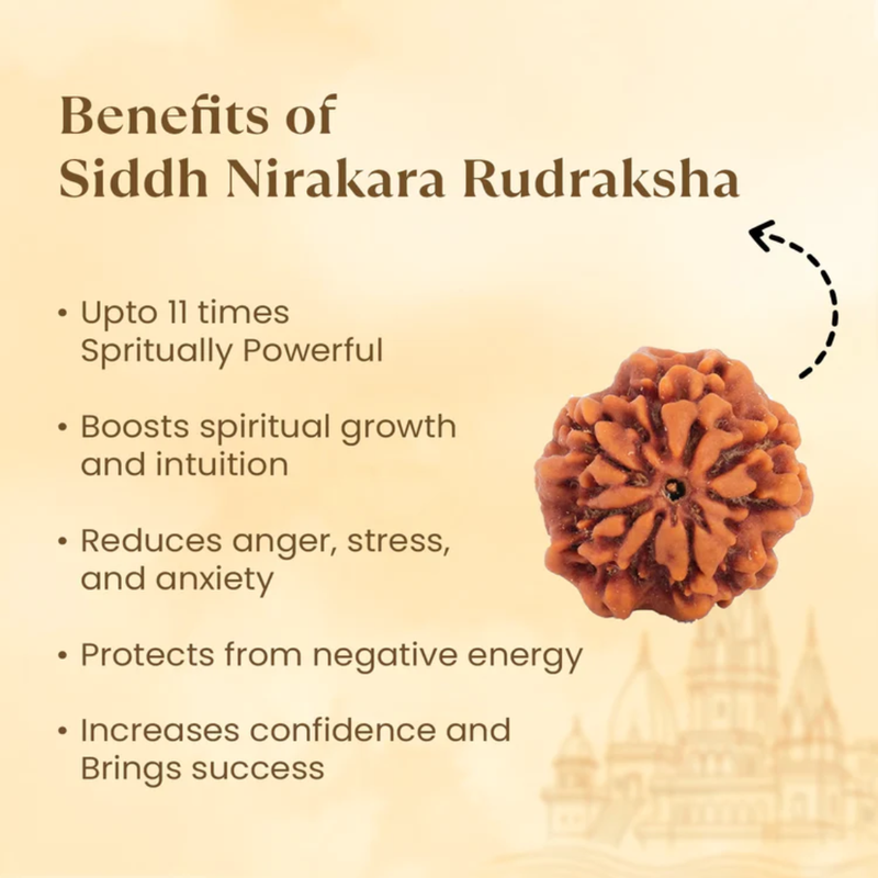 Kashi Siddh Nepal Origin Nirakar Rudraksha (0 Mukhi)