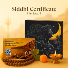 Kashi Siddh Nepal Origin Nirakar Rudraksha (0 Mukhi)