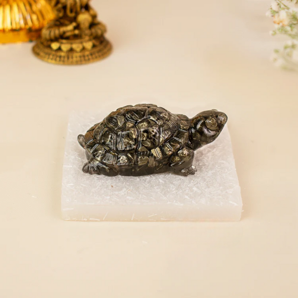 Vastu Pyrite Tortoise with FREE Selenite Plate