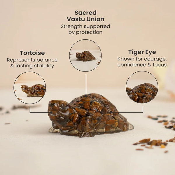Vastu Tiger Eye Tortoise (Kachhua)
