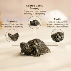 Vastu Pyrite Tortoise with FREE Selenite Plate