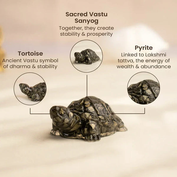 Vastu Pyrite Tortoise with FREE Selenite Plate
