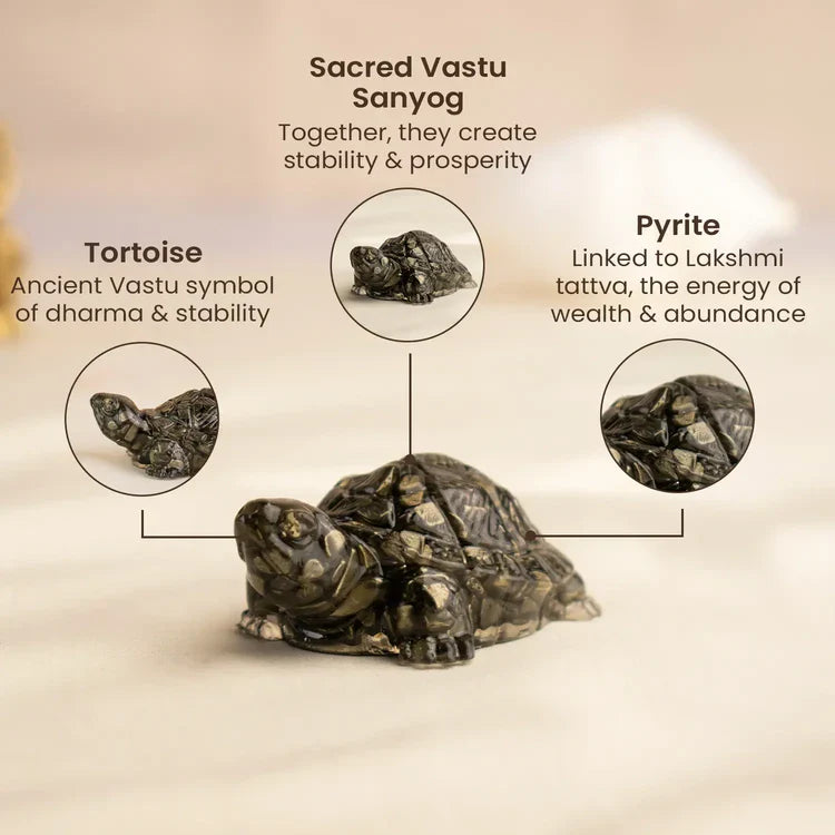 Vastu Pyrite Tortoise with FREE Selenite Plate