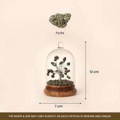 Pyrite Dome Tree