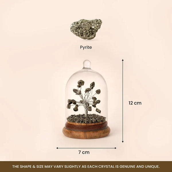 Pyrite Dome Tree