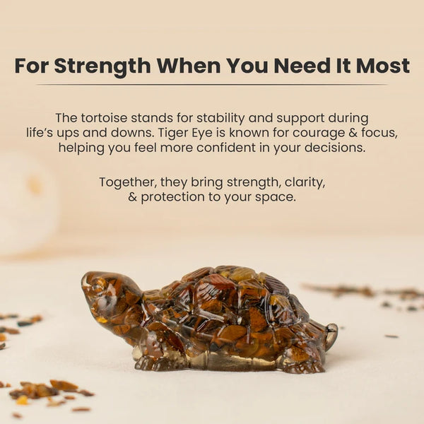 Vastu Tiger Eye Tortoise (Kachhua)
