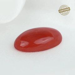 Italian Red Coral (Moonga)